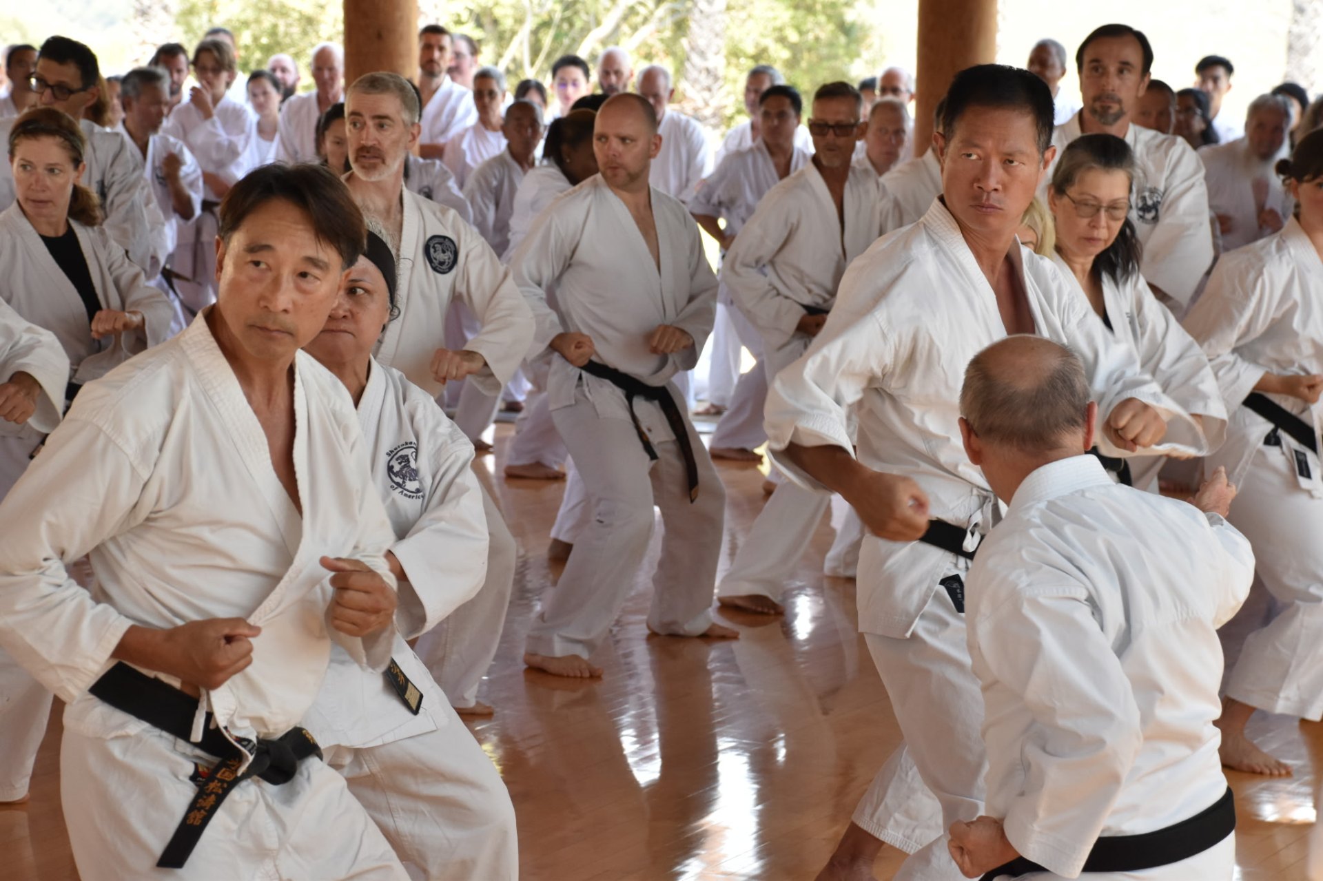 Shotokan Karate of America practitioners training kihon together at an SKA special training event